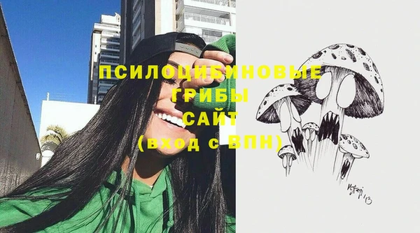 первитин Белокуриха
