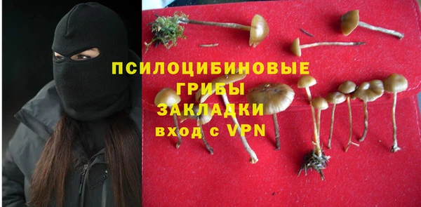первитин Белокуриха