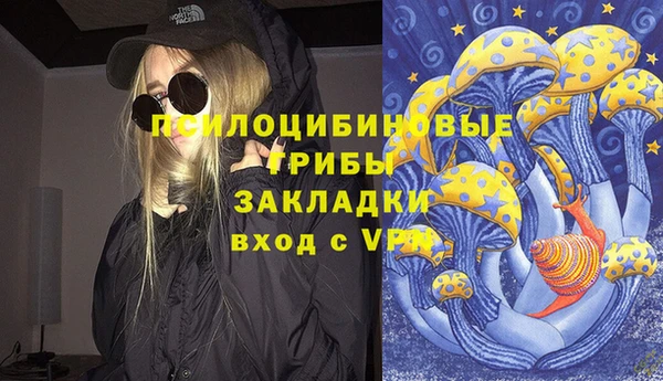 первитин Белокуриха