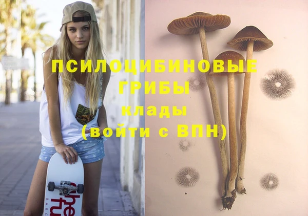 прущая мука Беломорск