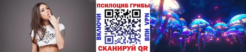 Псилоцибиновые грибы Magic Shrooms  Лыткарино 