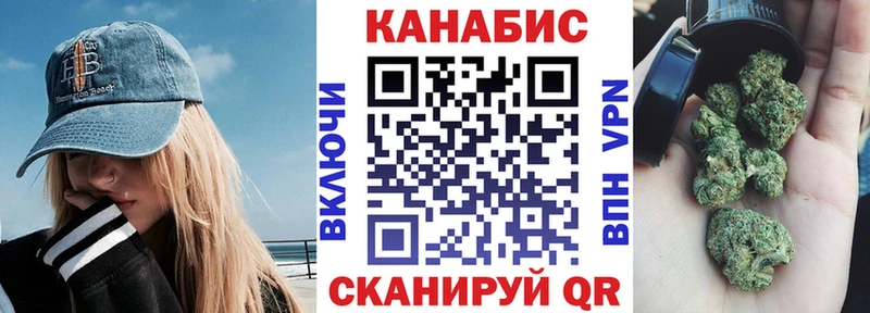 закладка  Лыткарино  Каннабис сатива 